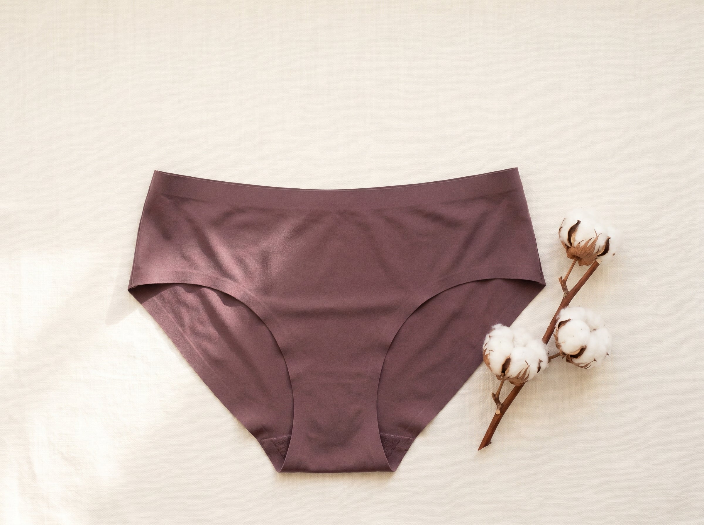 SEAMX Bonded Bikini Brief — Rosewood